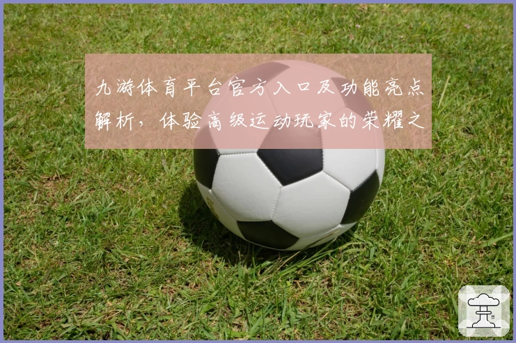 九游体育平台官方入口及功能亮点解析，体验高级运动玩家的荣耀之选